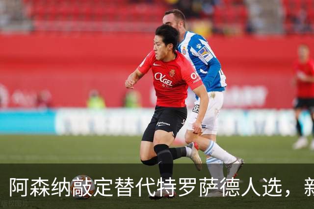 阿森纳敲定替代特罗萨德人选，新援被赞“训练最刻苦”的楷模